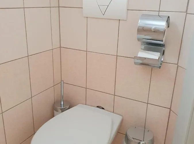 U Tri Sedlaku بيت ضيافة تشيسكي بوديوفيتسه