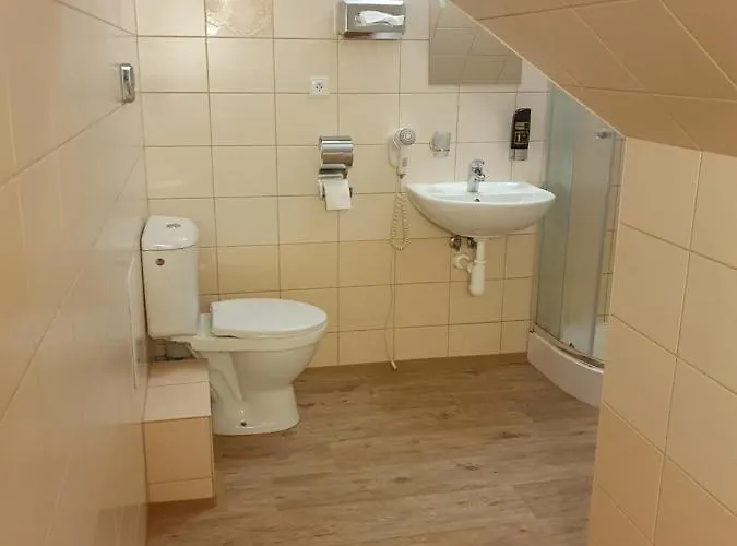 بيت ضيافة U Tri Sedlaku 3*